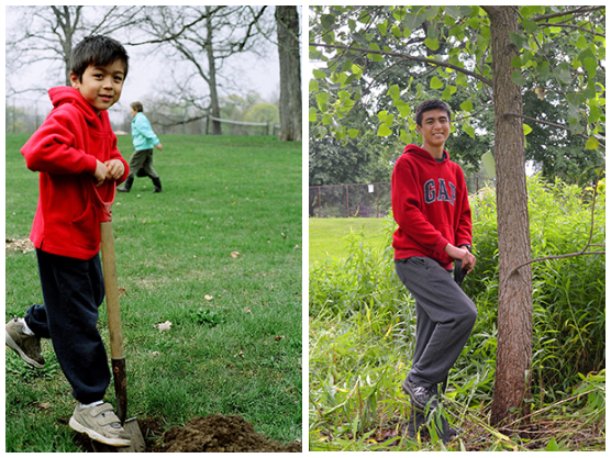 Split screen image of a boy planting a tree when five years old, and then at the same tree 10 years later.