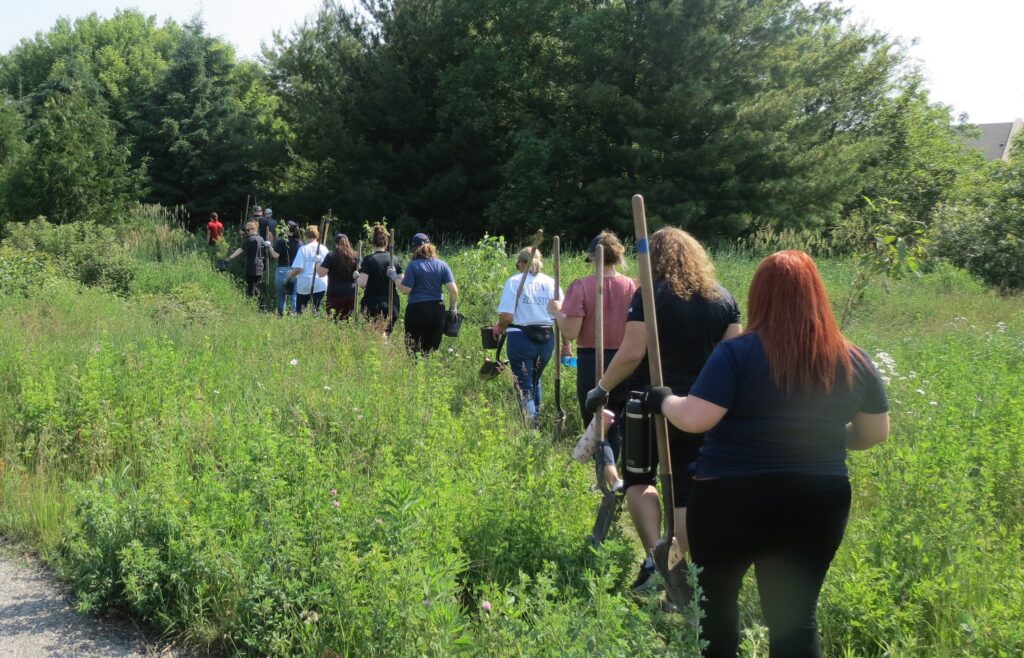 A long line of people with shovels walking along a path. 