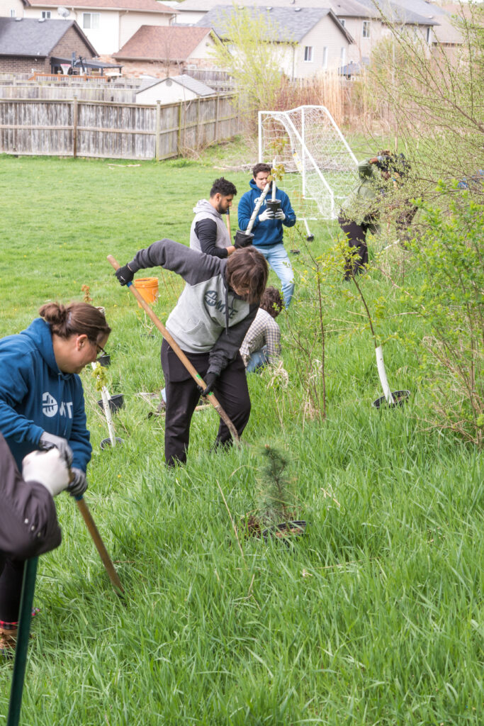 Group of people planting a tree. (Photo credit: ReForest London)