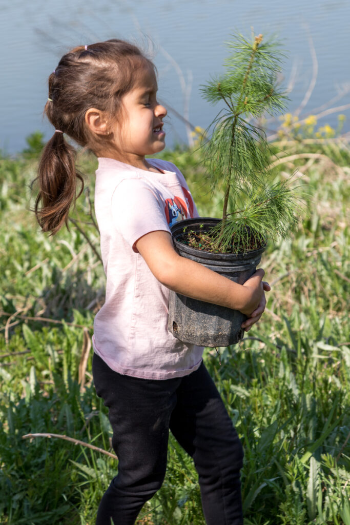 Child carrying a small tree in a pot. (Photo credit: ReForest London)