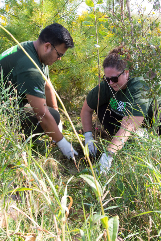 Man and woman planting a tree.