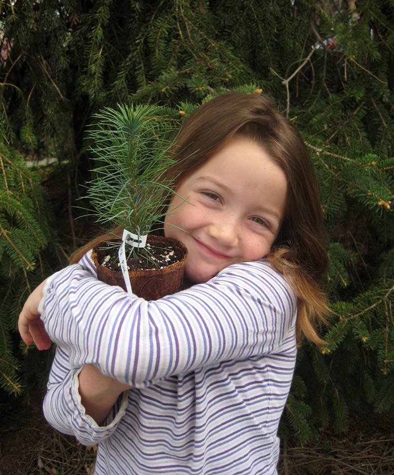 Young girl hugging a tree in a pot.