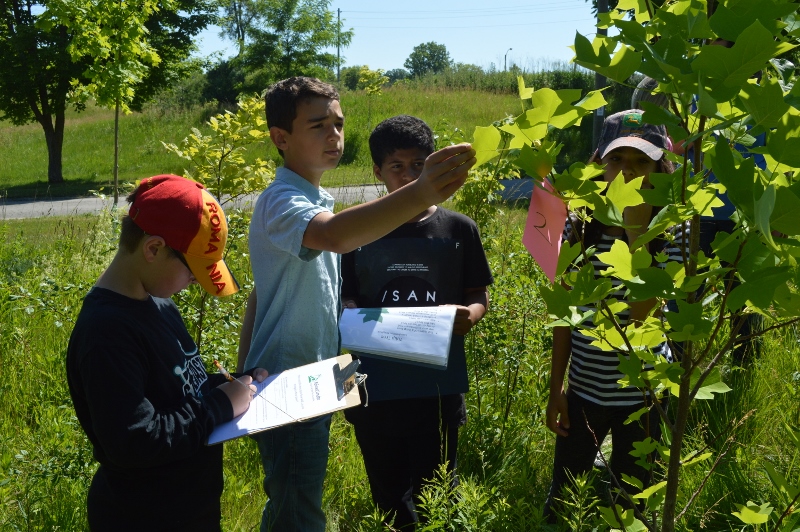The Forest City: How London is Regrowing its Legacy, One Tree at a Time