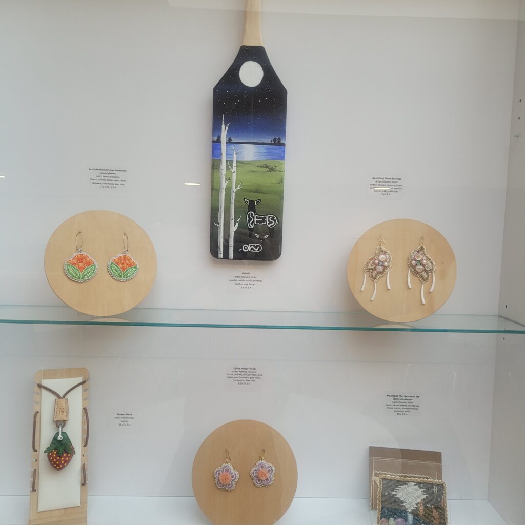 Grouping of Indigenous Art in display case.