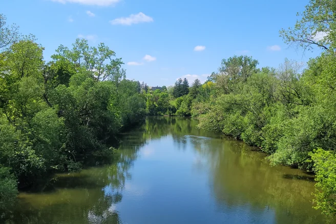How London’s Thames River  Came Back From the Dead