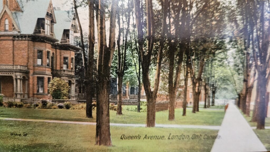 Tree lined sidewalk on Queen's Avenue in London.