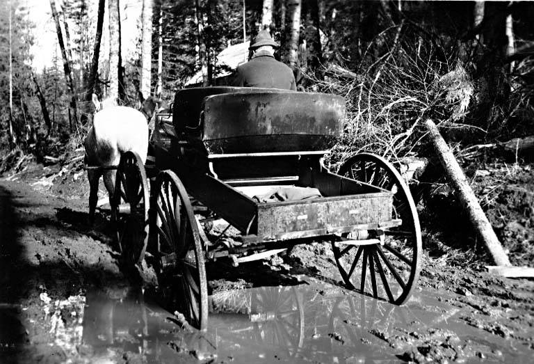 Man in wagon being pulled by two horses on a muddy old road., 1912.