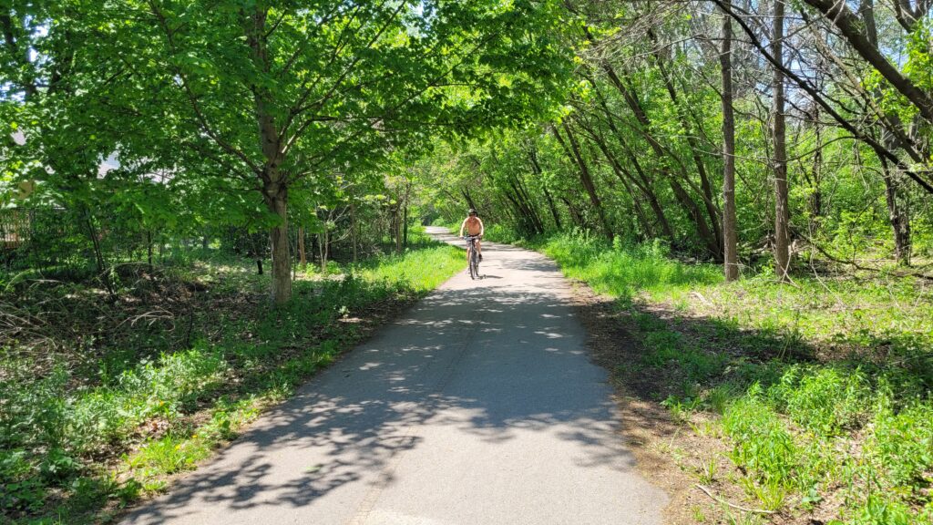 Person riding a bicycle along a shaded bicycle path.