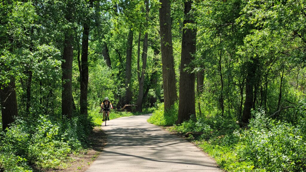 Cyclist on a bicycle path winding through the forest.