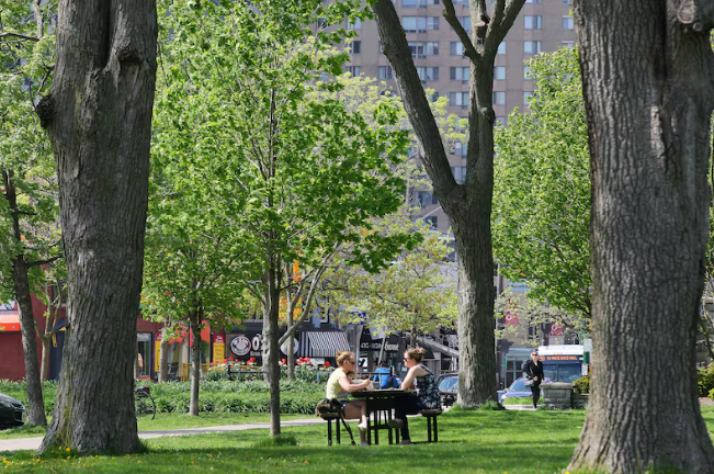 Londoners having lunch in the shade of large trees in Victoria Park.