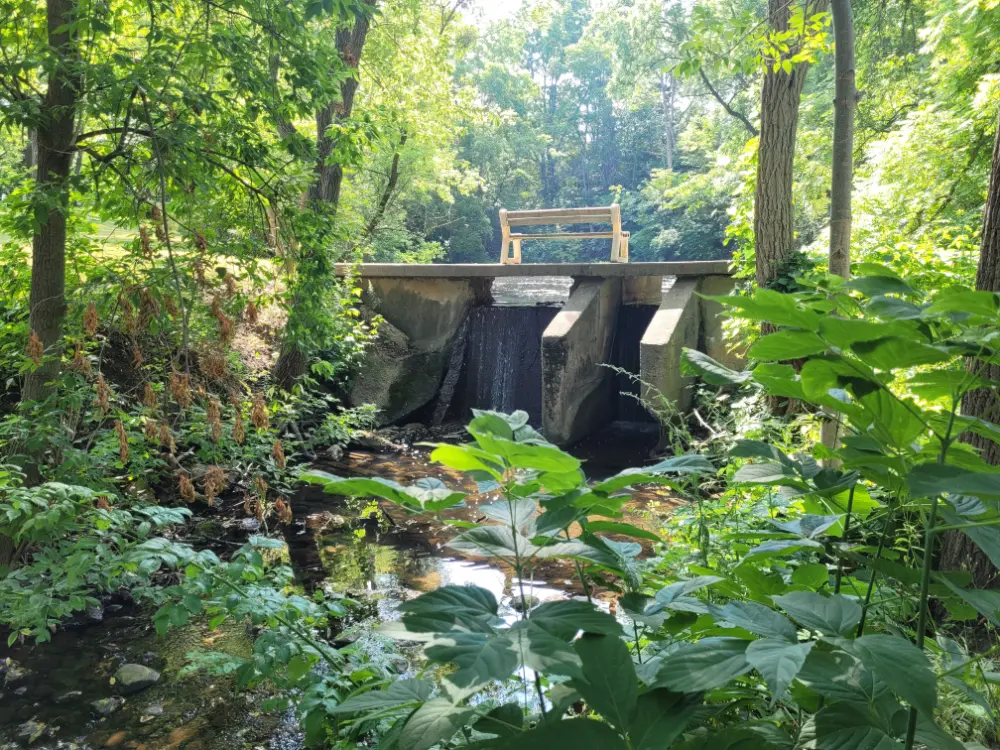 Creek and small dam next to the Red River Cafe.