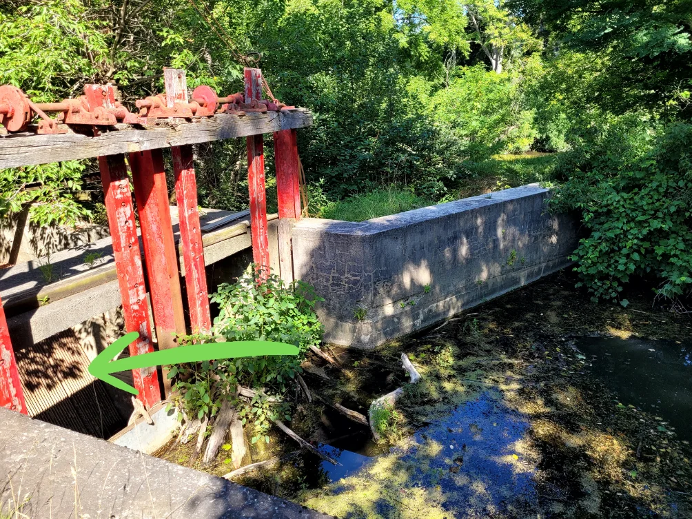Millrace at Arva Mills.