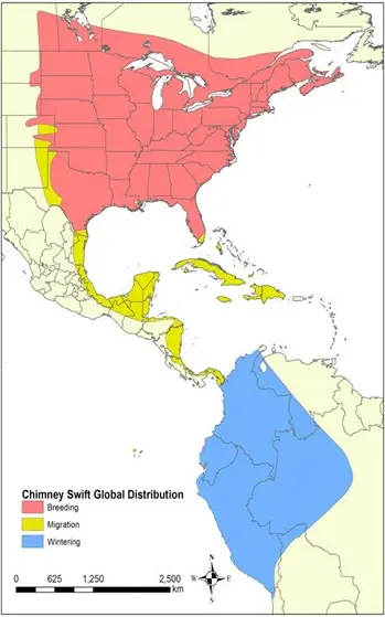 Map showing the range, distribution, and migration route of chimney swifts throughout North and South America.