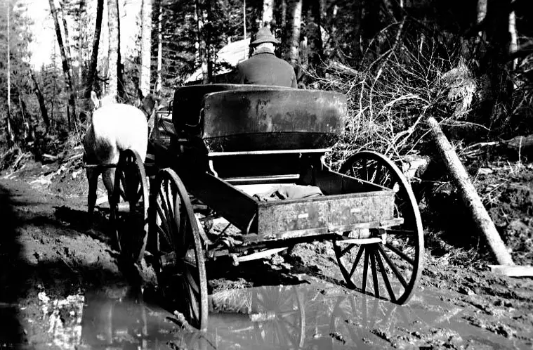 A wagon being pulled by a team of horses along a muddy road, c 1912.