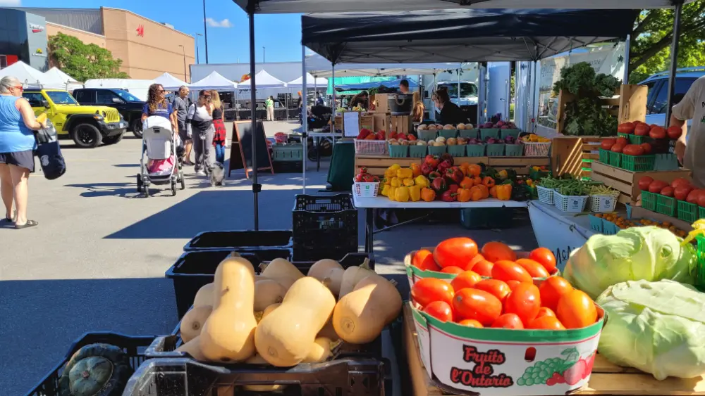 Veggies on display at the Masonville Farmers' Market on a late September day.