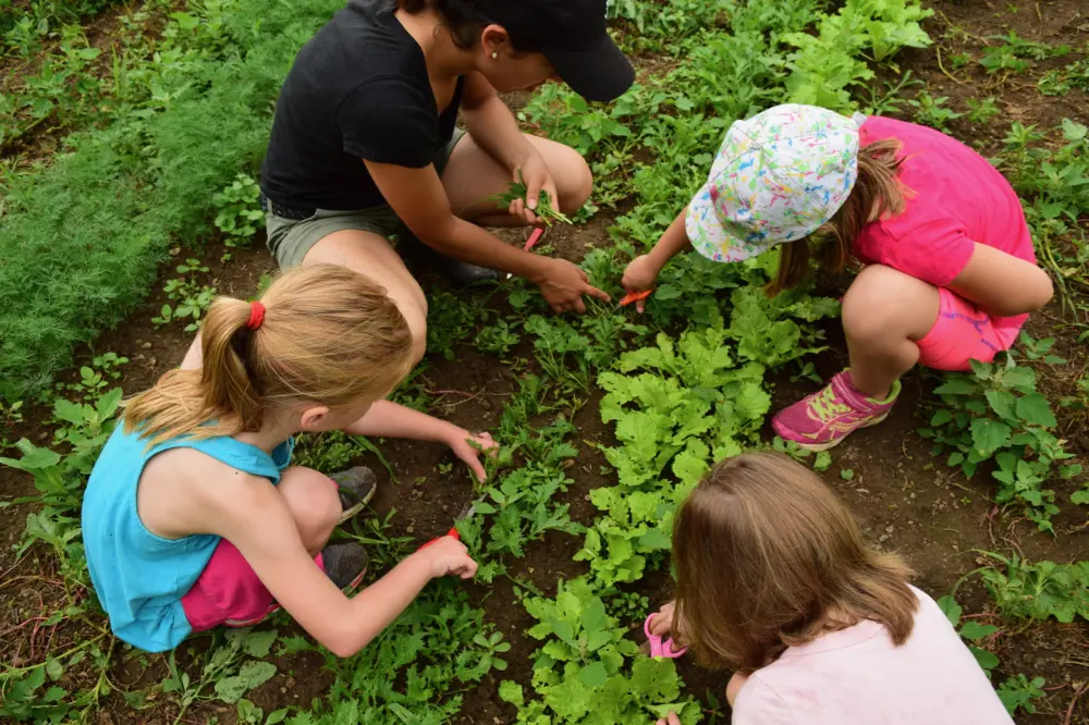 Children in the urban garden participating in age-appropriate, hands-on learning activities.